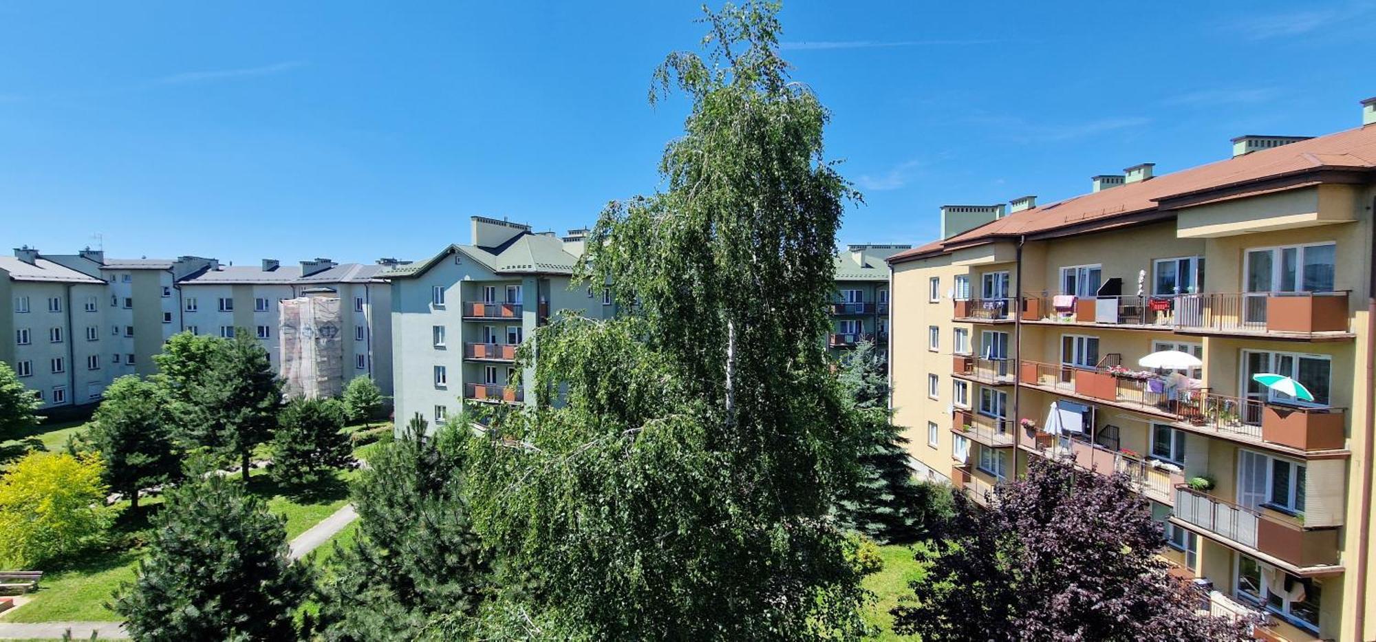 Studio Zielone 26 Тарнув Екстер'єр фото